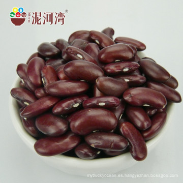 Granos de riñón rojos británicos orgánicos Granos de riñón rojos oscuros Variedad de Shanxi 180-200pcs / 100g